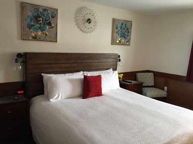 King Room, Non Smoking (No Pets Allowed)