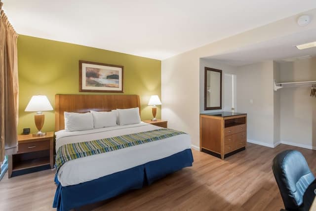 Room, 1 King Bed, Non Smoking