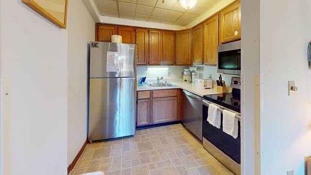 Condo, 1 Queen Bed with Sofa bed, Mountain View