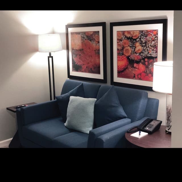 Executive Room, 1 King Bed, Fireplace