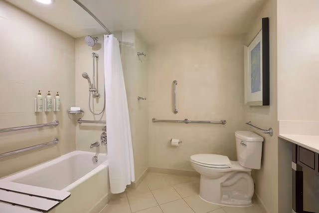 Room, 1 King Bed