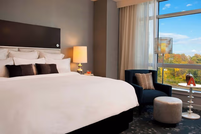 Room, 1 King Bed