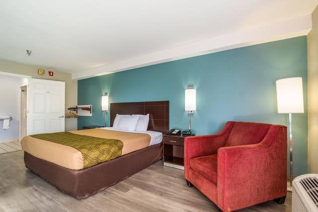 Room, 1 King Bed, Accessible, Non Smoking