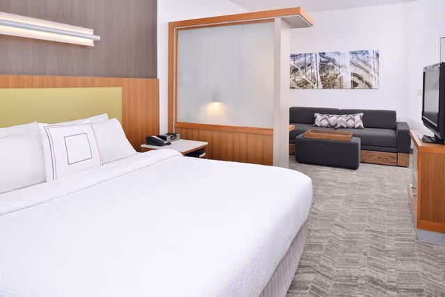 Suite, 1 King Bed