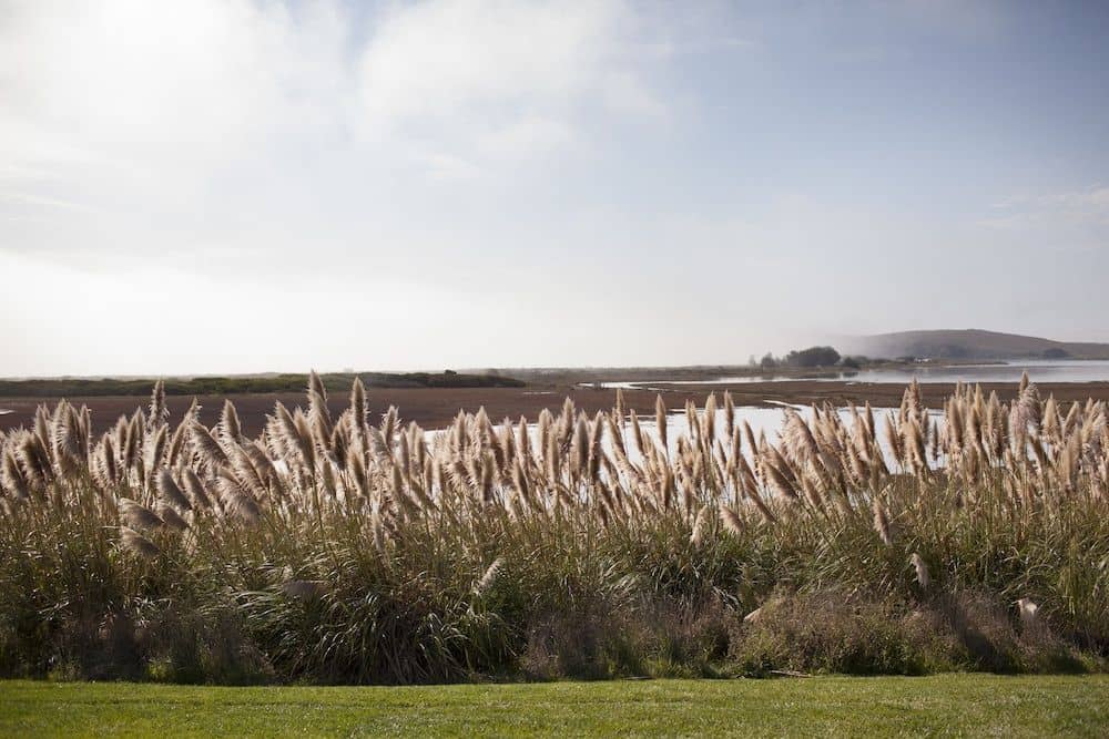 Bodega Bay Lodge Bodega Bay Lodge
