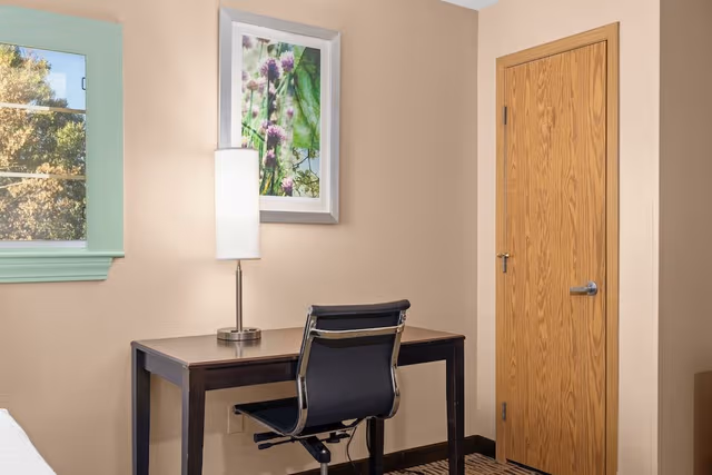 One-King - Deluxe Studio Suite
