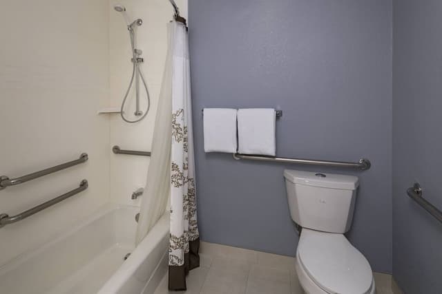 Studio, 1 King Bed with Sofa bed (Hearing Accessible)