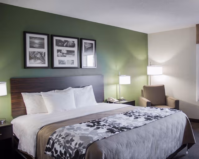 Suite, 1 King Bed with Sofa bed, Accessible, Non Smoking