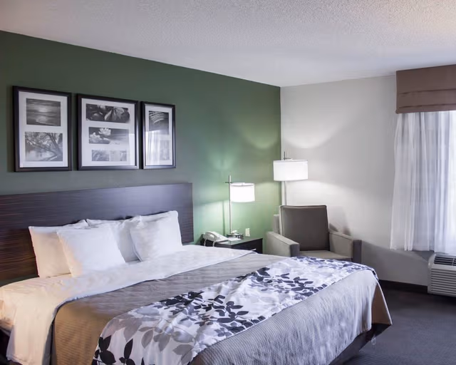 Room, 1 King Bed, Accessible, Non Smoking