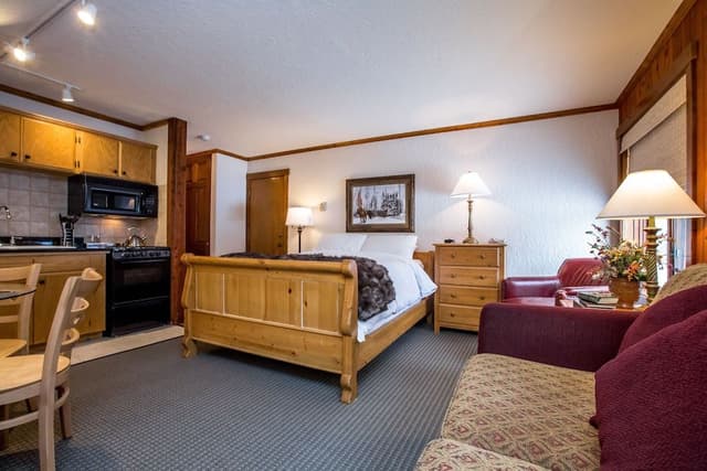 Studio, 1 Queen Bed with Sofa bed, Kitchen