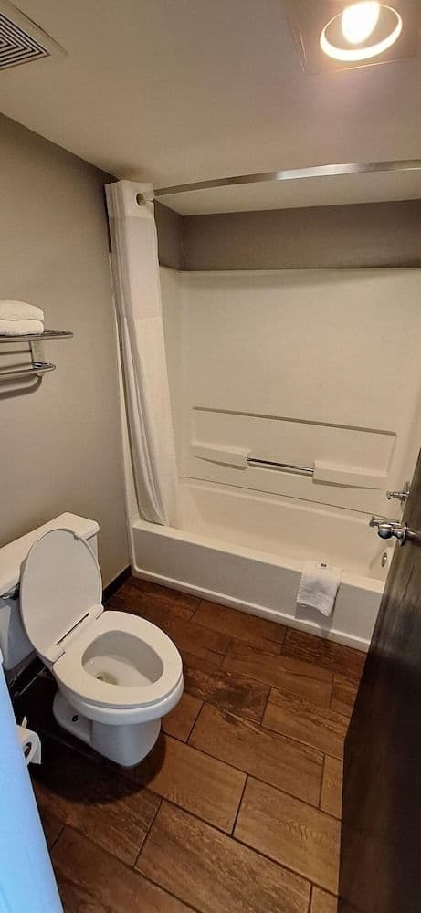 Standard Room, 1 King Bed, Accessible, Non Smoking