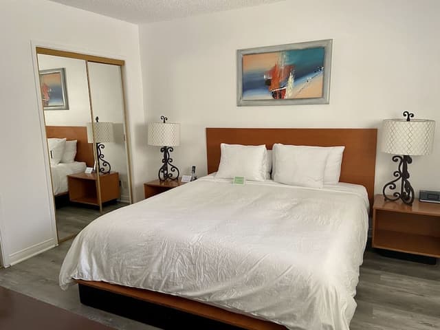 Room, 1 Queen Bed