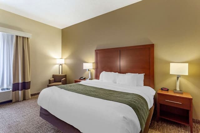 Standard Room, 1 King Bed, Accessible, Non Smoking