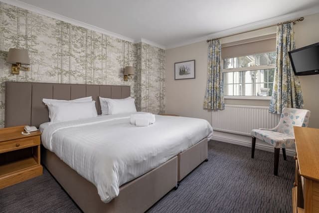 Superior Double or Twin Room
