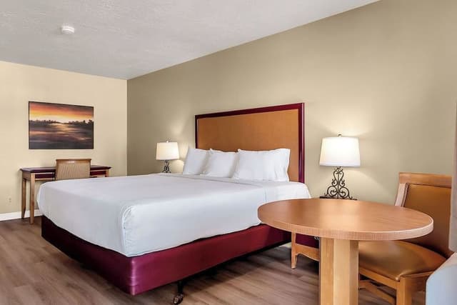 Superior Room, 1 King Bed