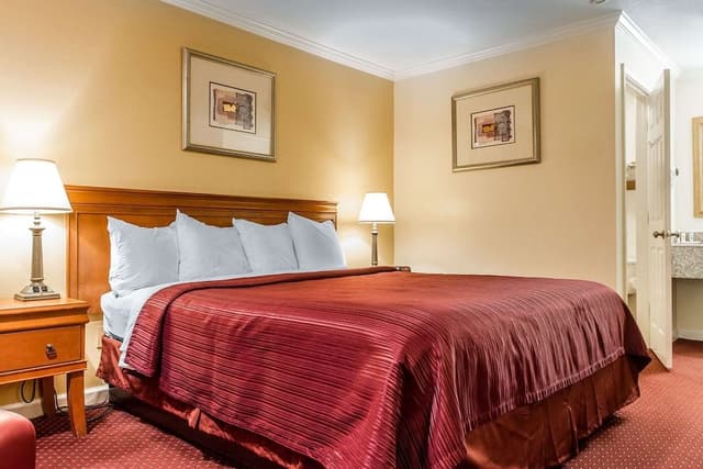 Standard Room, 1 King Bed, Non Smoking