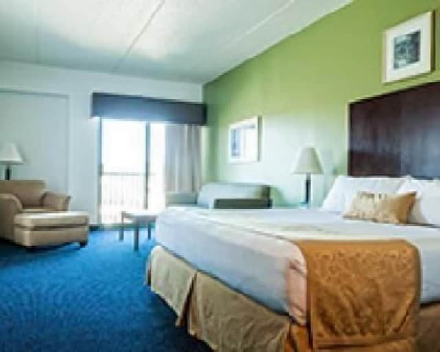 Standard Room, 1 King Bed with Sofa bed