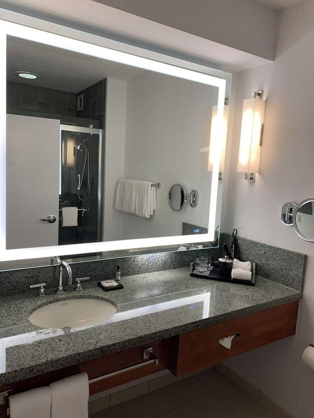 1 King Bed High Floor Deluxe Accessible Tub