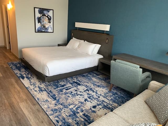 Room, 1 King Bed, Accessible (Shower)
