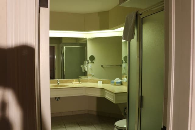 Executive Suite, 1 King Bed with Sofa bed, Non Smoking
