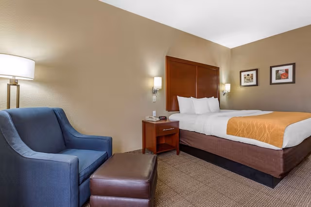 Standard Room, 1 King Bed, Non Smoking