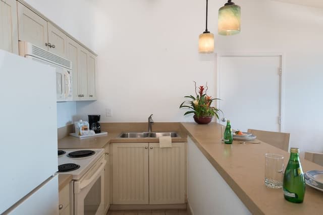 Deluxe Room, 1 King Bed, Ocean View (Beachfront View with Kitchenette)