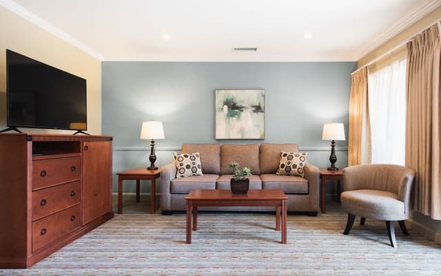 Standard Suite, 1 King Bed with Sofa bed