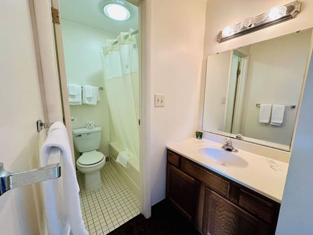 Premium Suite