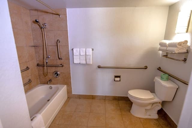 Standard Room, 1 King Bed, Accessible, Non Smoking