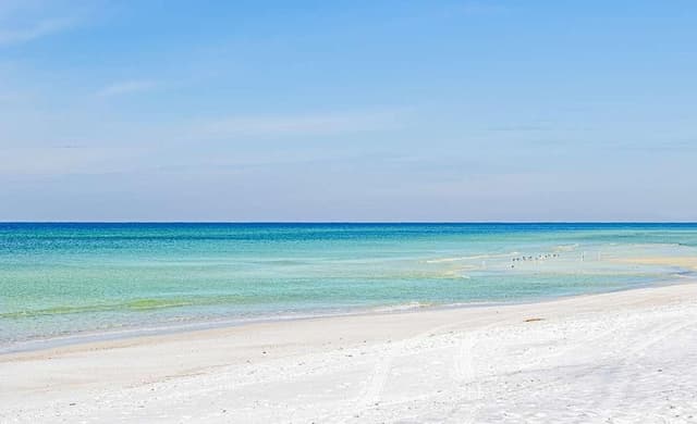 Studio, 1 King Bed (Top of the Gulf 825)