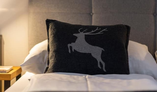 Chalet Suite Hochalm