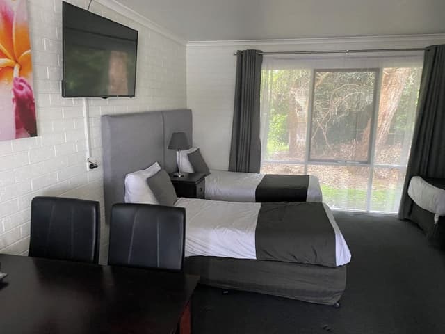 Large Family Suite (Queen and 2 Singles)