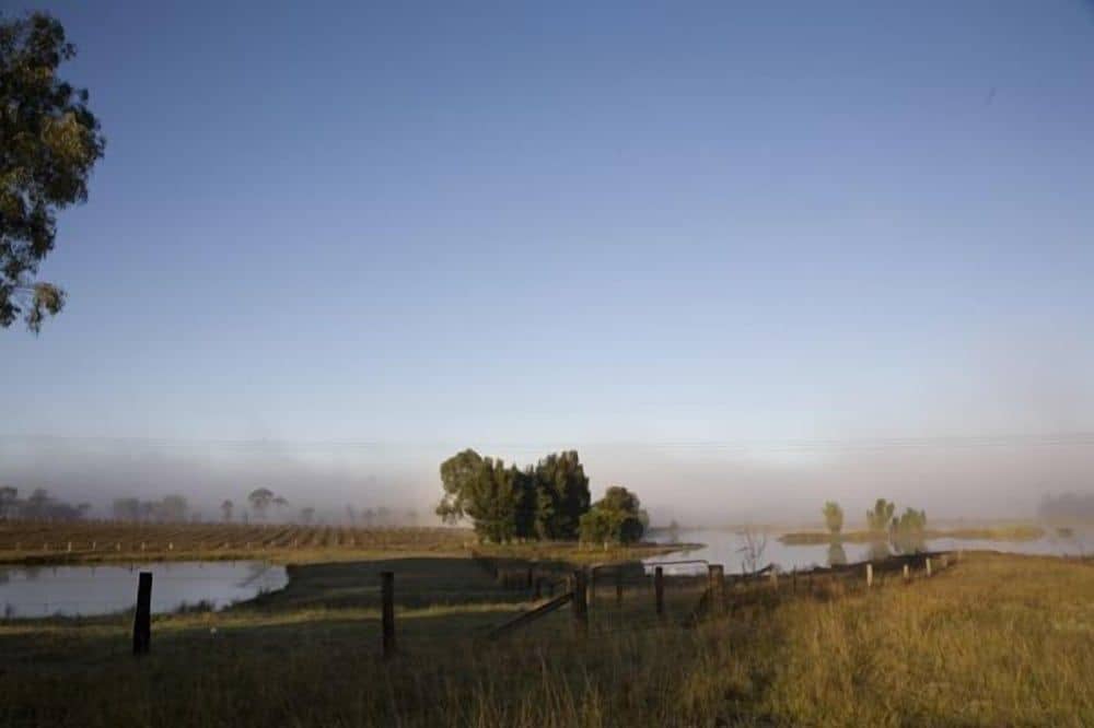 Talga Vines Vineyard Escape Talga Vines Vineyard Escape
