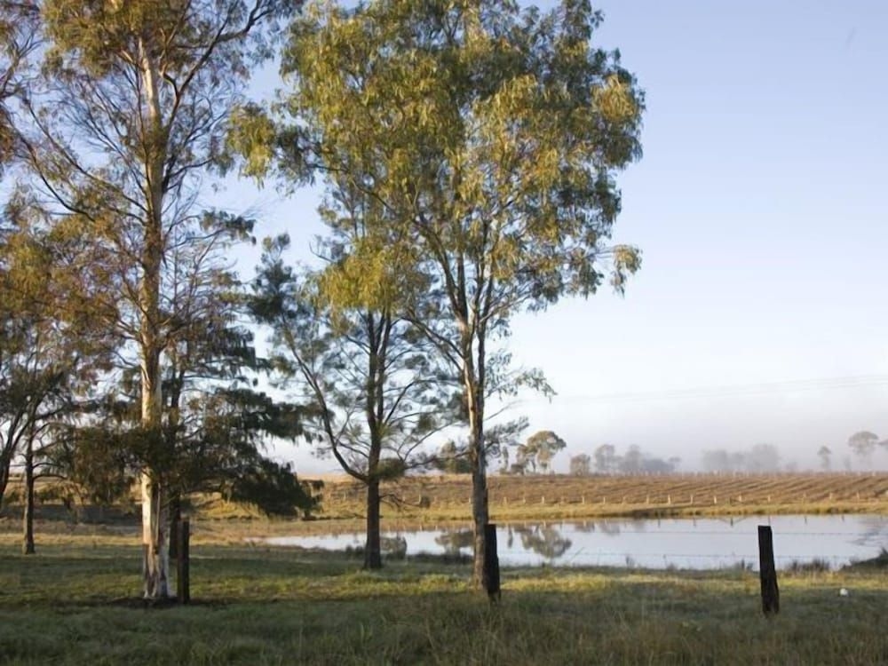 Talga Vines Vineyard Escape3