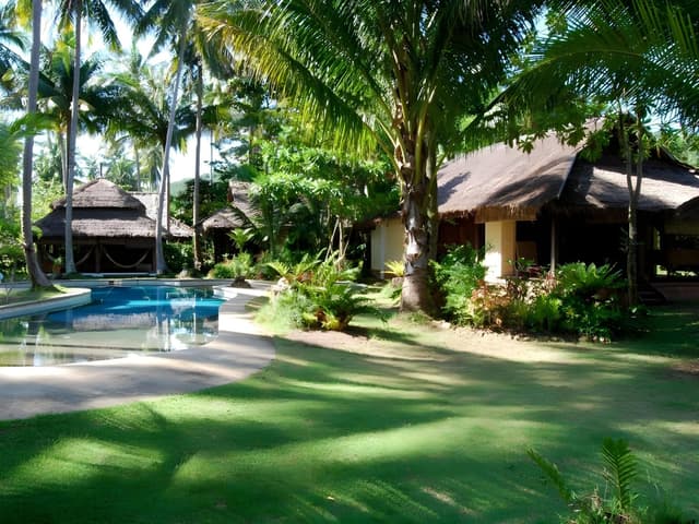 Beach Suite