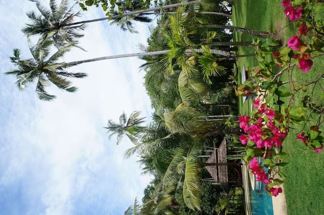 Beach Suite