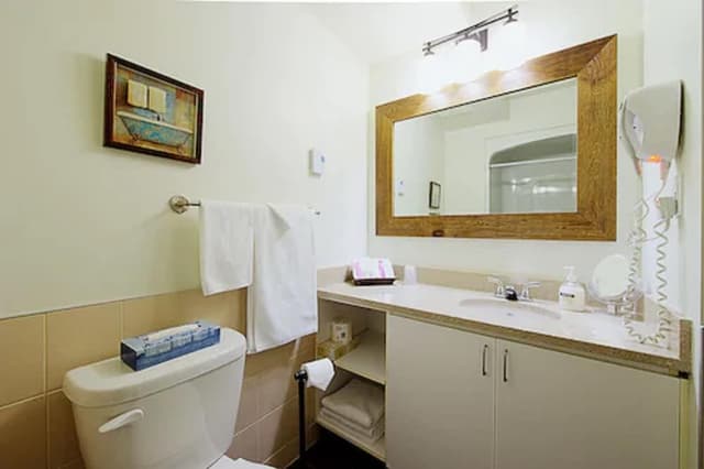 Studio, 1 Queen Bed with Sofa bed