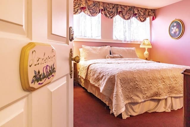 Classic Single Room, 1 King Bed, Non Smoking, Bathtub