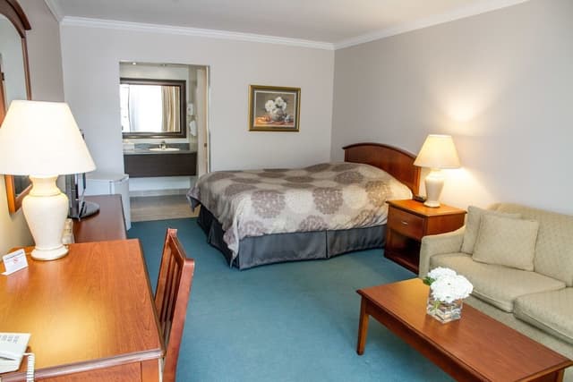 Suite, 1 Queen Bed