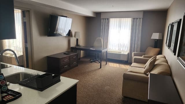 Business Suite, 1 King Bed