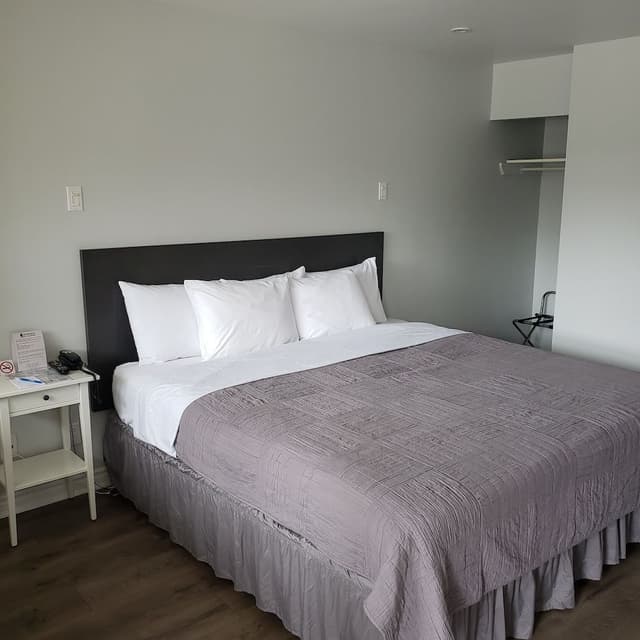Standard Room, 1 Queen Bed, Non Smoking