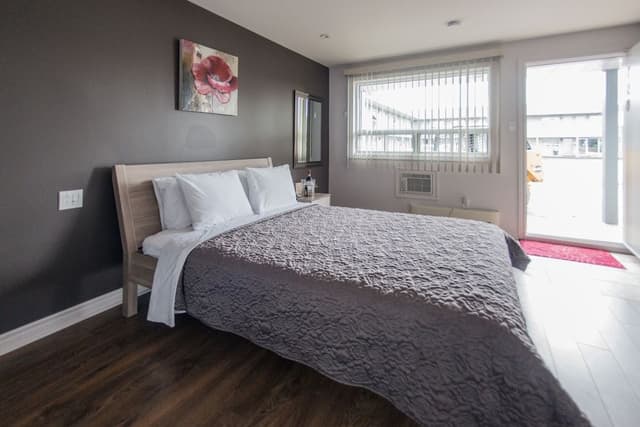 Standard Room, 1 Queen Bed, Non Smoking