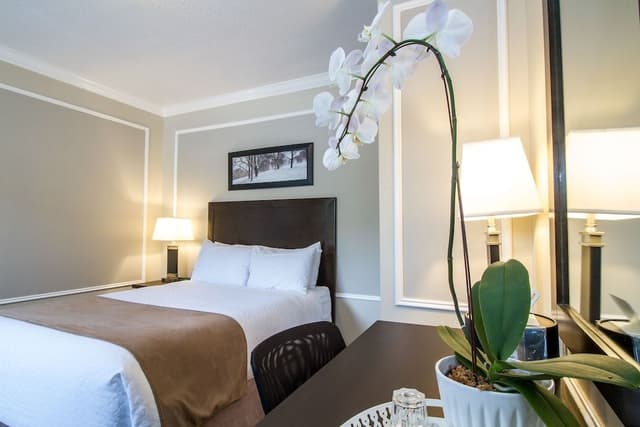 Executive Room, 1 Queen Bed