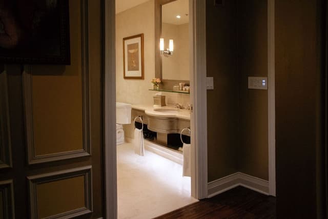 Windsor Suite, 1 King Bed with 2 Sofa Beds
