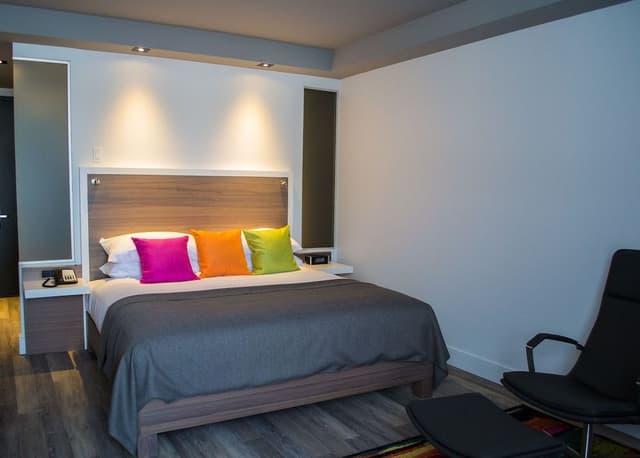 Urban Room, 1 King bed and 1 Murphy Bed