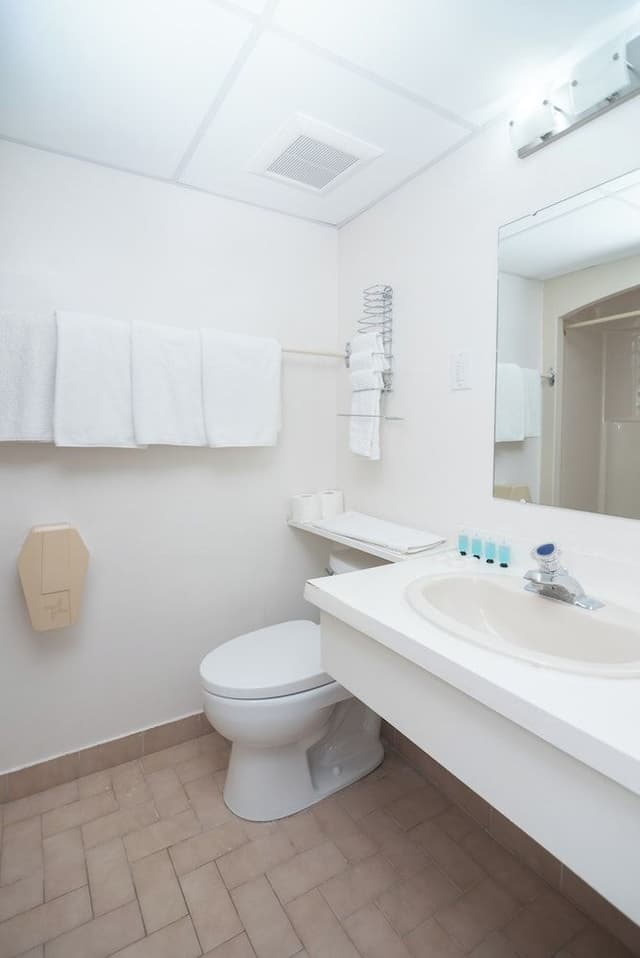 Room, 1 Queen Bed (Heart Shaped Jacuzzi)