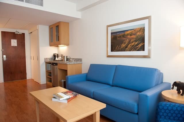 Junior Studio Suite