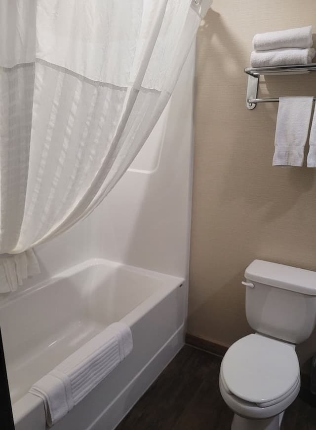 Signature Studio Suite