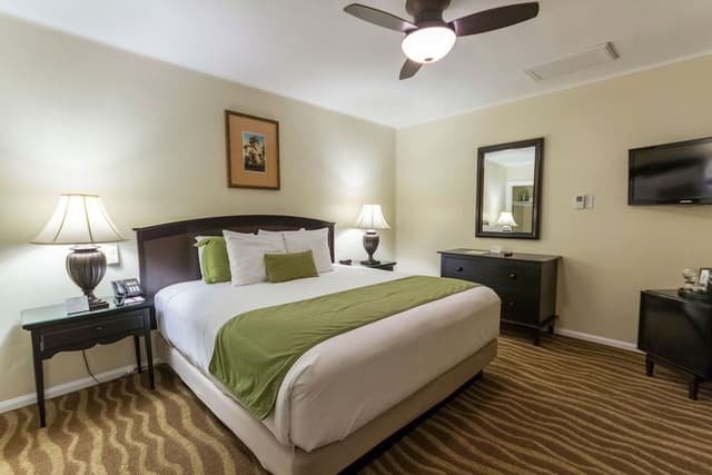 Room, 1 Queen Bed