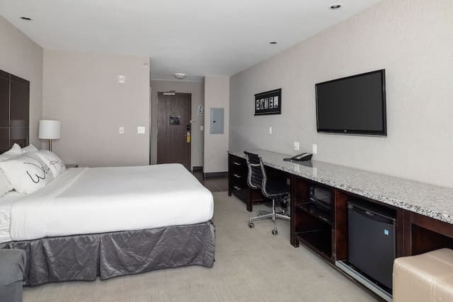 Standard Room, 1 King Bed with Sofa bed